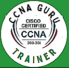 ccnainusa Logo