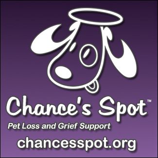 Chance's Spot Logo