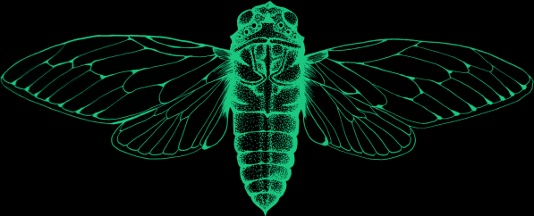 cicadadetroit Logo
