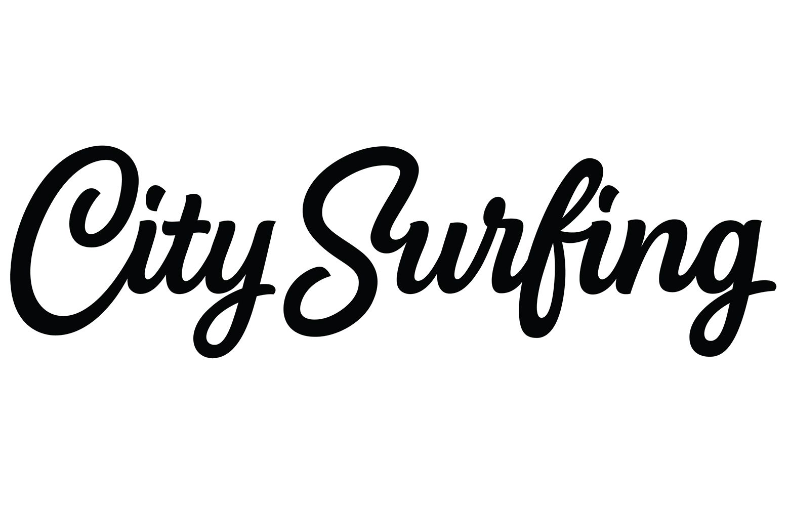 Citysurfing LLC Logo
