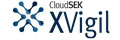 cloudsek Logo