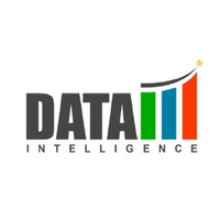 datamintelligencee Logo