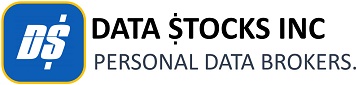 datastocksinc Logo