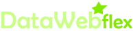 datawebflex Logo