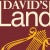 davidslandisraeltour Logo