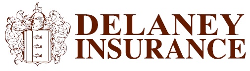 delaneyins Logo