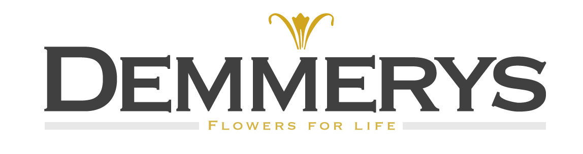 demmerys Logo