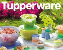 dfTupperware Logo