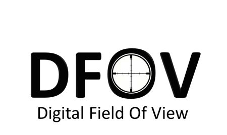 Digital FOV, LL Logo