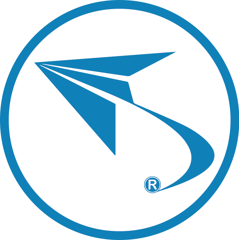 DigitalFlyer Logo