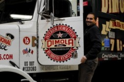 dimolabros Logo