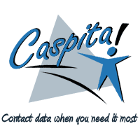 Distinct Corporation - Caspita Division Logo