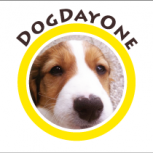 dogdayone Logo