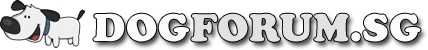 DogForum.Sg Logo