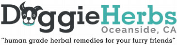 Herbs For Dogs Logo