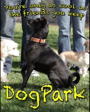 dogparktheseries Logo