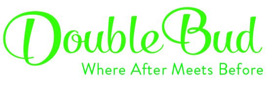 doublebud Logo