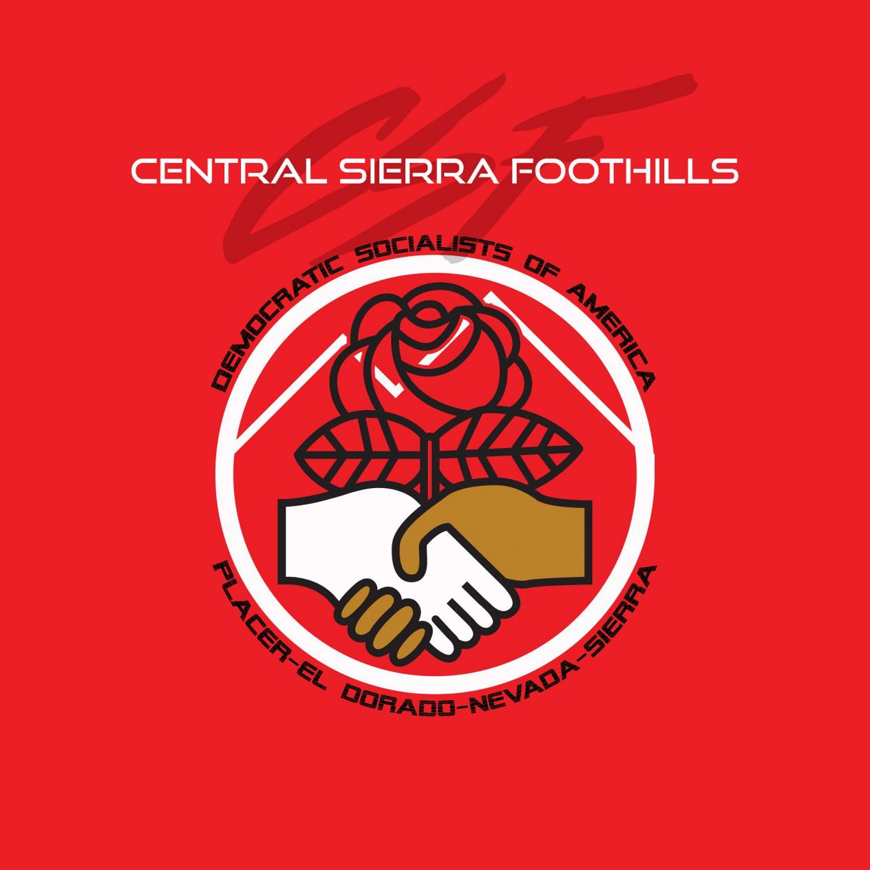 Central Sierra Foothills DSA Logo