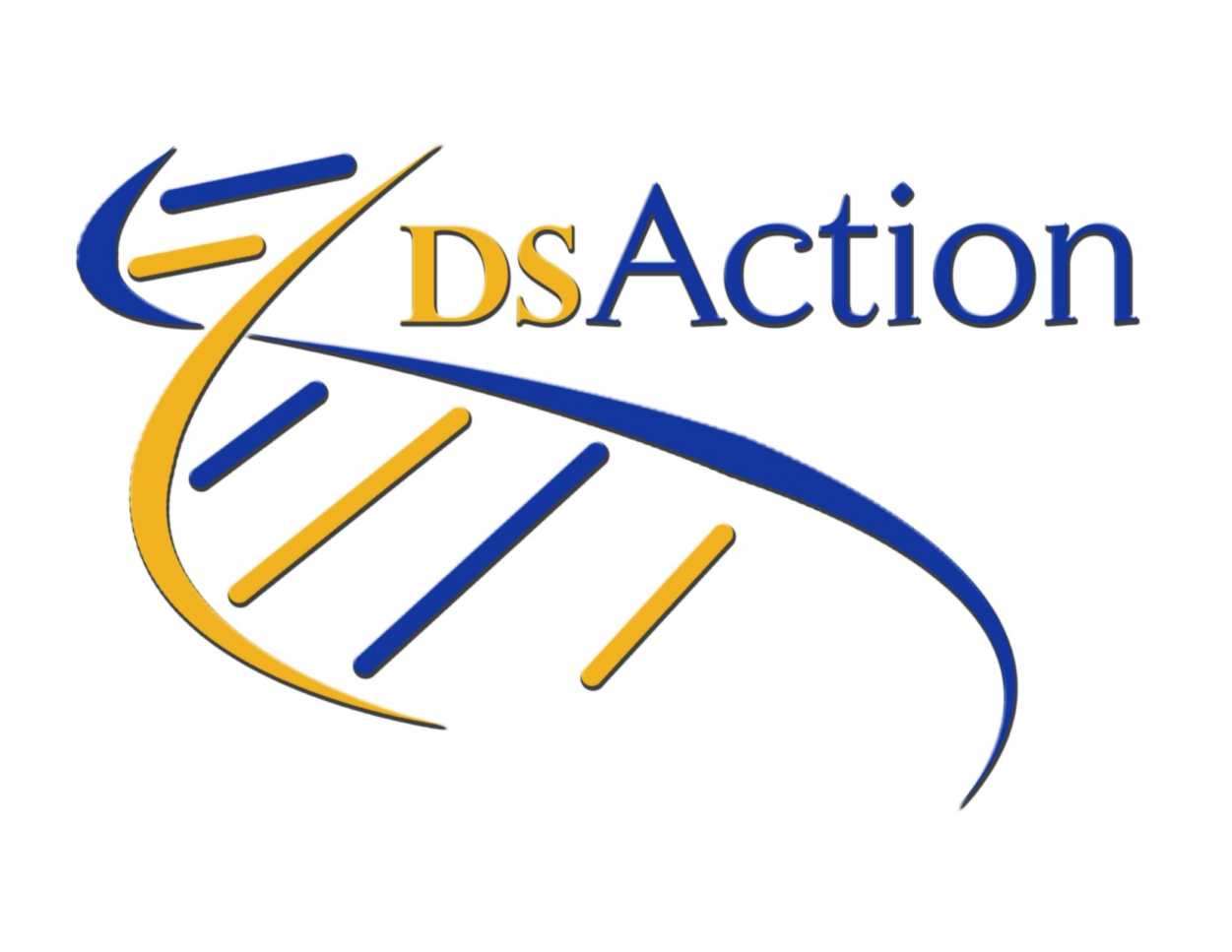 dsaction Logo