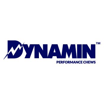 dynamin Logo