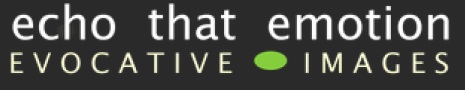 echothatemotion Logo