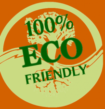 ecofriendlydetailing Logo