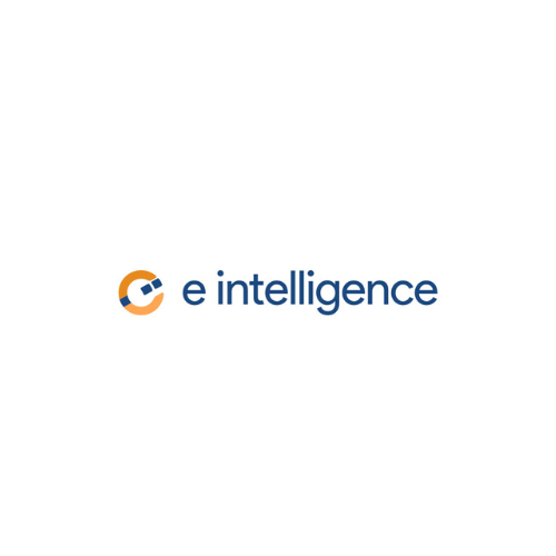 eintelligenceweb Logo