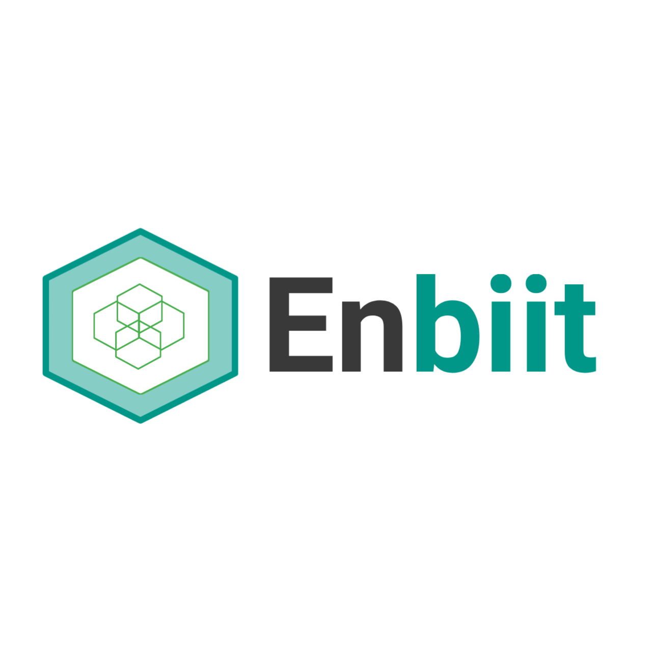 enbiit Logo