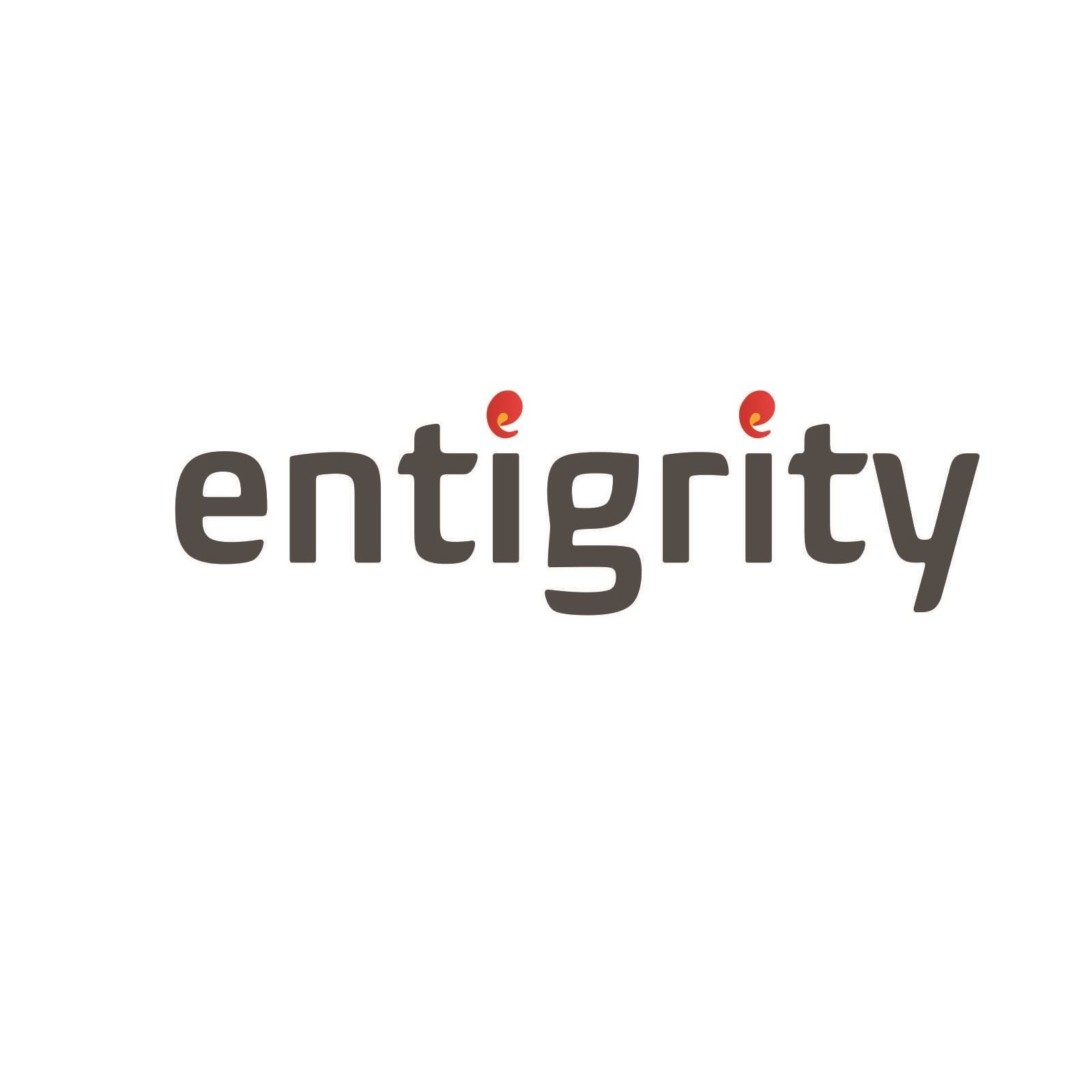 Entigrity Solutions LLC. Logo