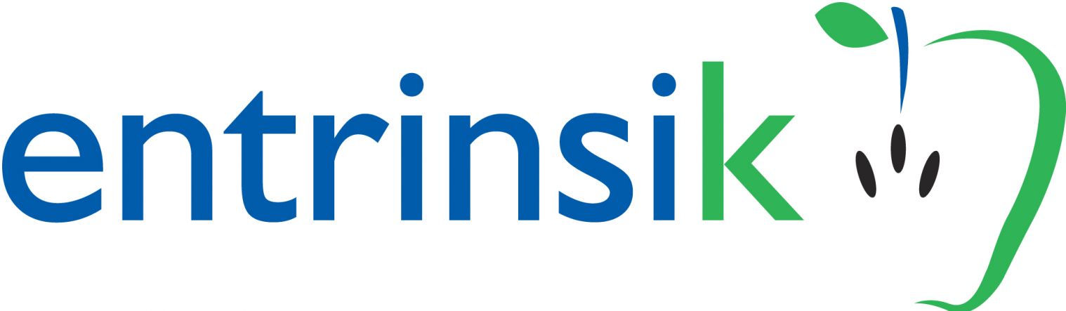 Entrinsik Inc. Logo