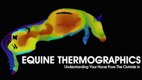 equinethermographics Logo