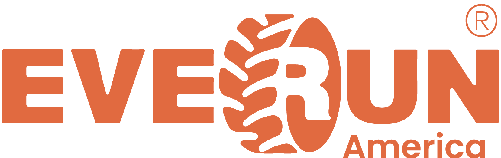 everunamerica Logo