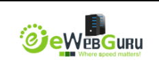 ewebguruwebhosting Logo