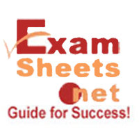 examsheetsdotnet Logo