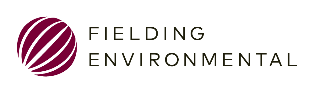 Fielding Environmental Logo