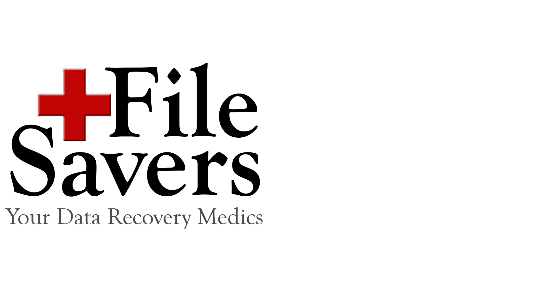 File Savers Data Recovery Logo