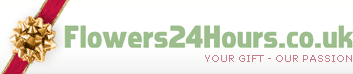flowers24 Logo