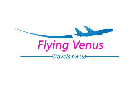 flyingvenus Logo