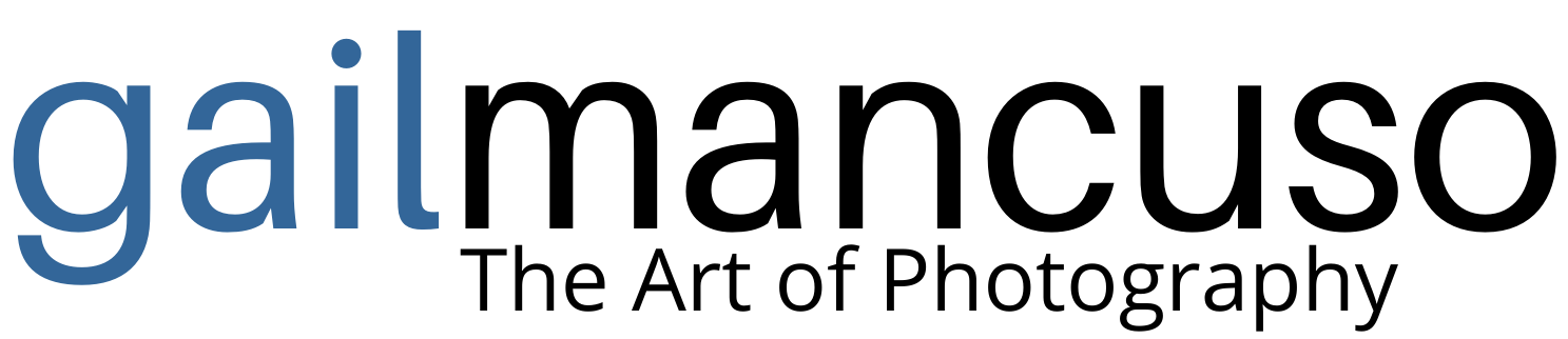 gailmancusophoto Logo