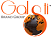 Galsti Brand Group, Inc. Logo