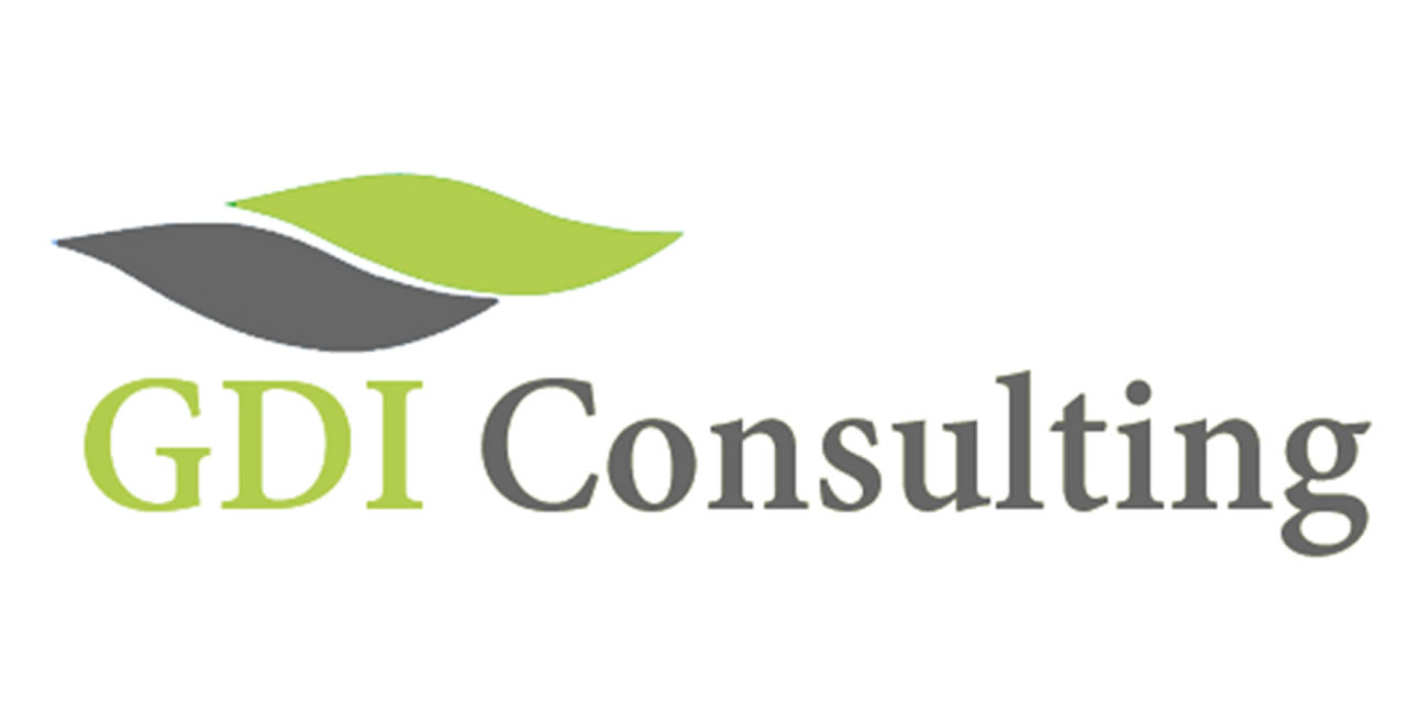 GDI Consulting Logo
