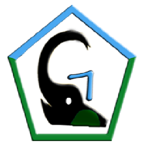 gelbinfotech Logo