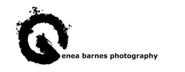 genea barnes photography Logo