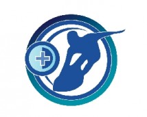 globalodyssi Logo
