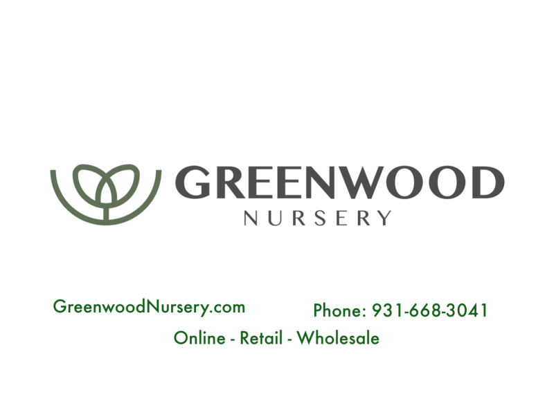 Greenwood Nursery Announces Annual Berry Blow Out Sale On Strawberry 