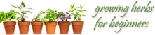 Growing Herbs For Beginners Logo