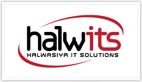 Halwits IT Solutions - Website Development Company Logo