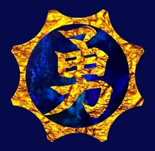 havensbrave Logo
