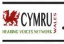 Hearing Voices Network Cymru Logo