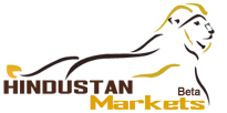 Hindustan Markets Logo